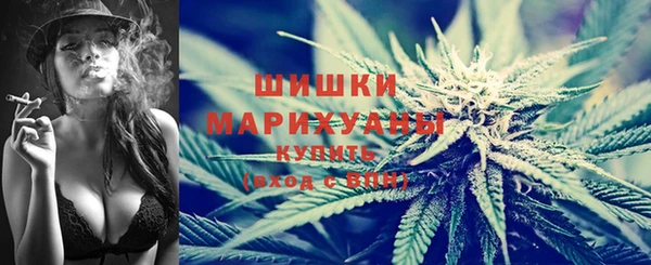 шишки Богданович
