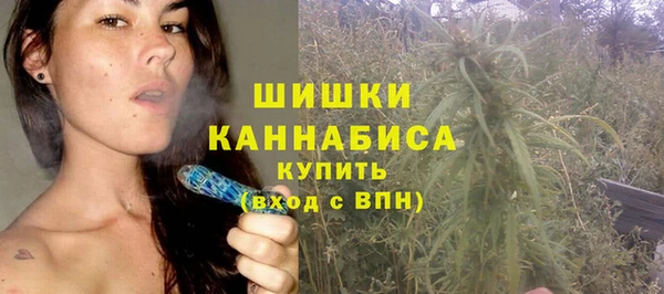 шишки Богданович