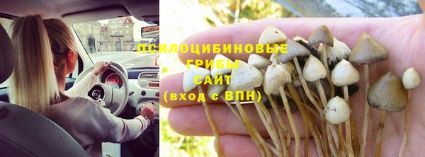 СК Богородск