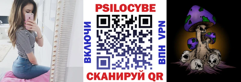 где можно купить   MEGA ССЫЛКА  Псилоцибиновые грибы мицелий  Чистополь 