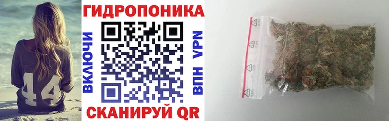 где найти наркотики  Чистополь  Канабис индика 